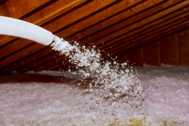 Best Local Insulation Services  in Reedley, CA