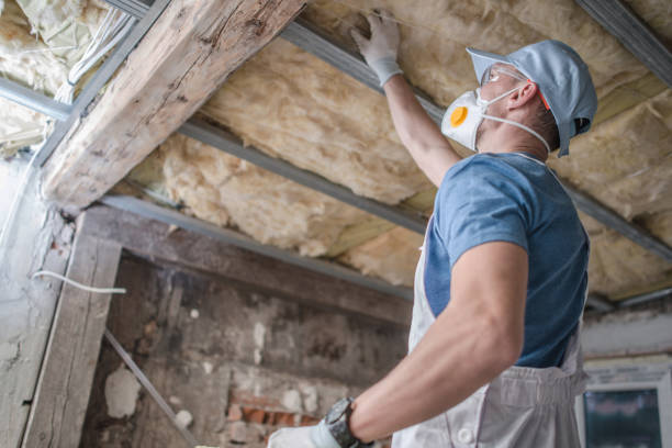 Best Fiberglass Insulation  in Reedley, CA