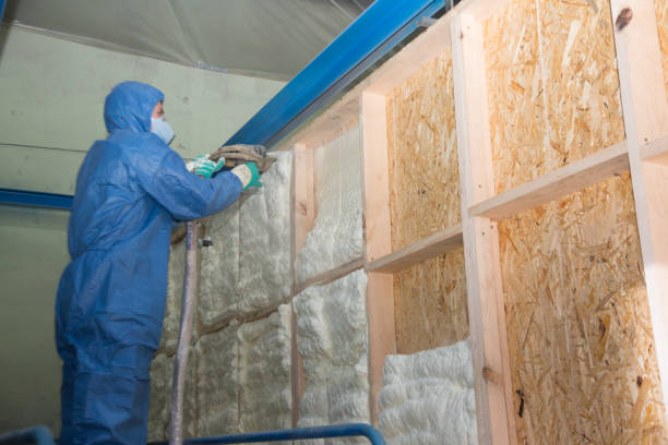 Best Blown-in Insulation  in Reedley, CA
