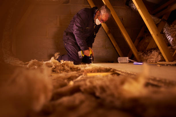 Best Cellulose Insulation  in Reedley, CA